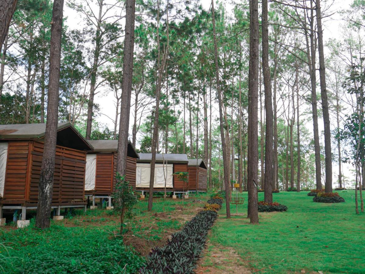 Vkirirom Pine Resort Chambak Dangkom Buitenkant foto