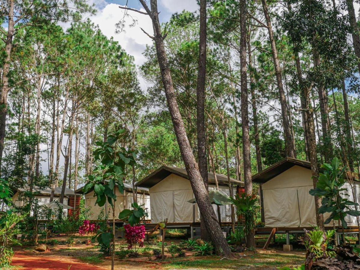 Vkirirom Pine Resort Chambak Dangkom Buitenkant foto